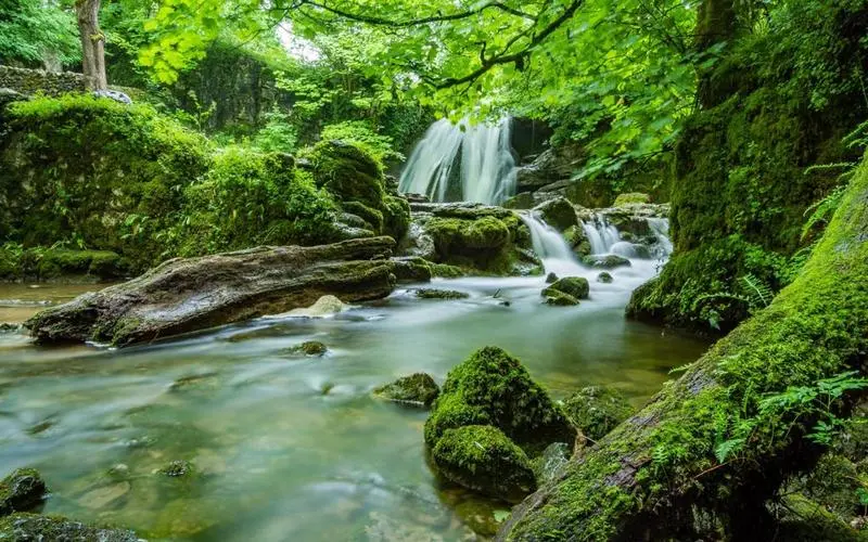 独特高精度高端